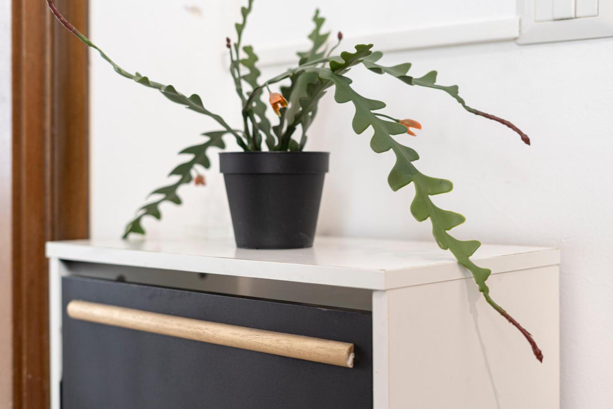 Appartement I Host - Pasteur 15-2 Milan